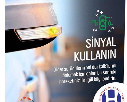 52143799_378270862968871_5809766350574464657_n