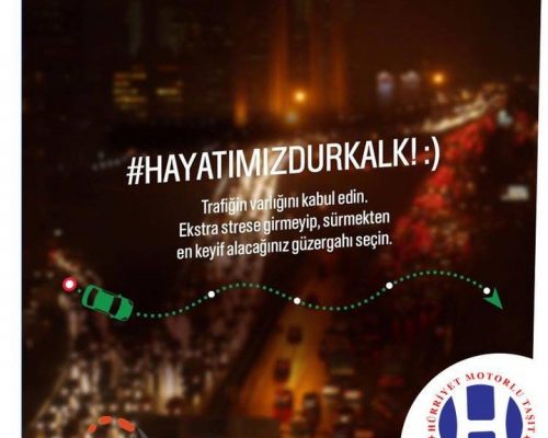 54446811_386828925504691_6022692559276510369_n