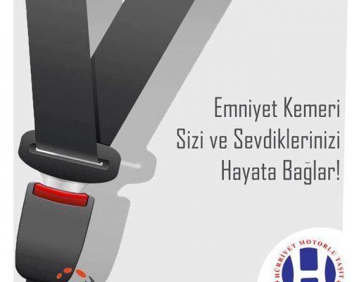 57506177_543959972796274_5100558671882310236_n